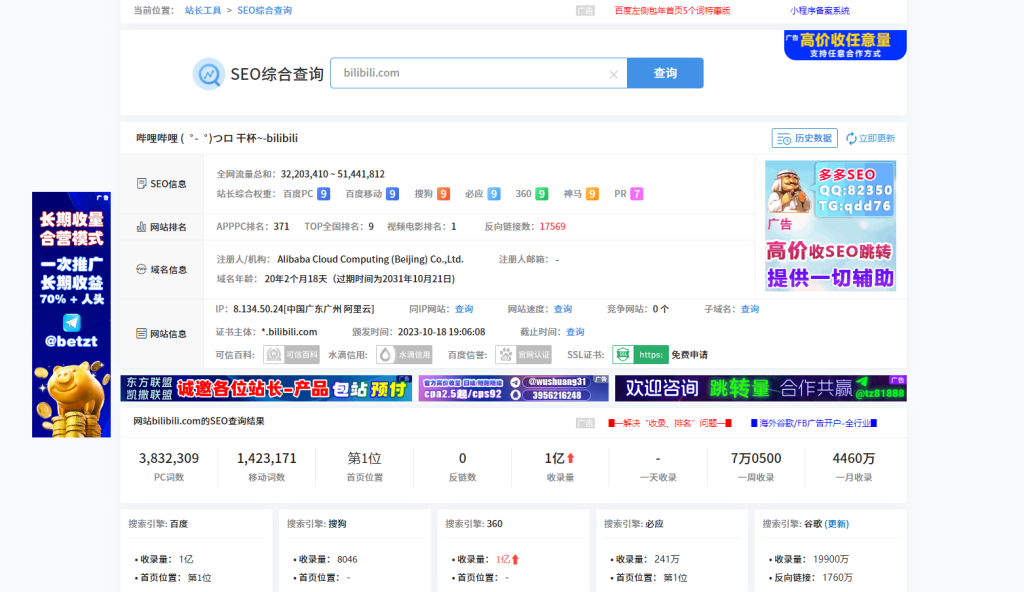 网站SEO查询